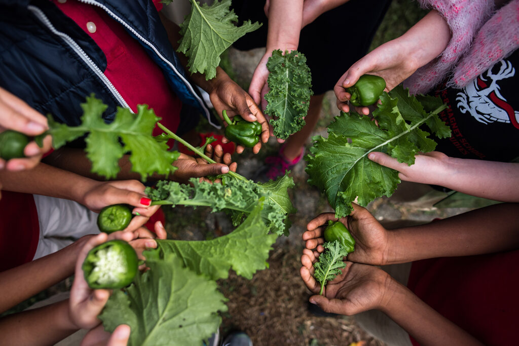 Food Security